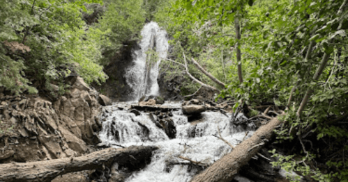 A serene waterfall cascades over rocks, surrounded by lush green trees and fallen logs in a tranquil forest setting.