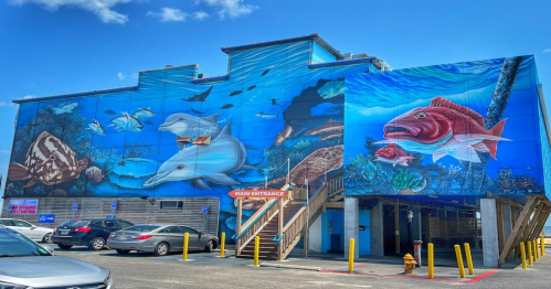 Colorful mural of marine life on a building exterior, featuring dolphins, fish, and coral, with a parking lot in front.