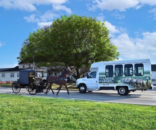 A horse-drawn buggy passes a white shuttle bus near a large tree and buildings in a rural setting.