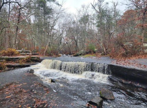 A small waterfall cascades over rocks in a forested area with bare trees and autumn leaves scattered on the ground.