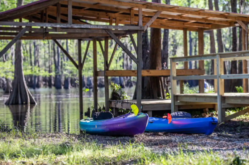 Two kayaks sit by a wooden dock near a calm, tree-lined waterway. Sunlight filters through the trees.