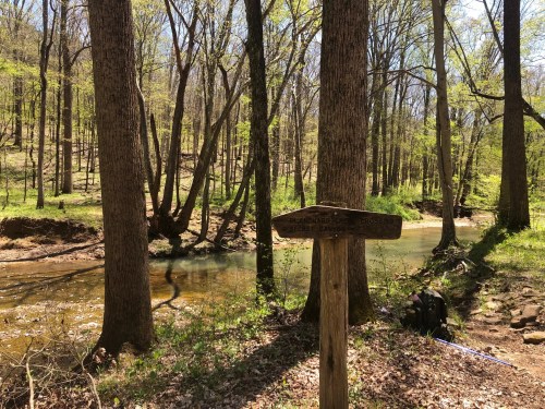 A wooden signpost near a creek, surrounded by trees and greenery in a sunny forest setting.