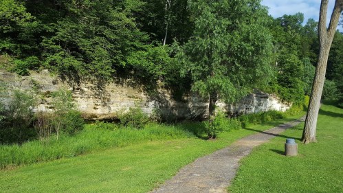 A scenic path beside a grassy area, leading to a rocky cliff covered in greenery under a clear blue sky.