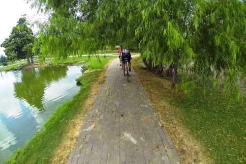 A cyclist rides along a paved path beside a pond, surrounded by greenery and trees.