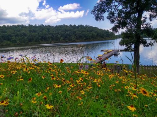 A serene lake surrounded by lush greenery and vibrant wildflowers under a partly cloudy sky.