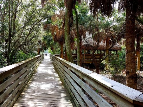 A wooden boardwalk leads through lush greenery and palm trees, with a thatched-roof structure visible in the background.