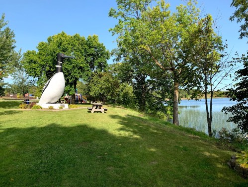 A large penguin statue stands on a grassy area by a lake, surrounded by trees and picnic tables under a clear blue sky.