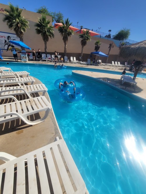 A sunny pool scene with people enjoying the water, lounge chairs, and palm trees in the background.