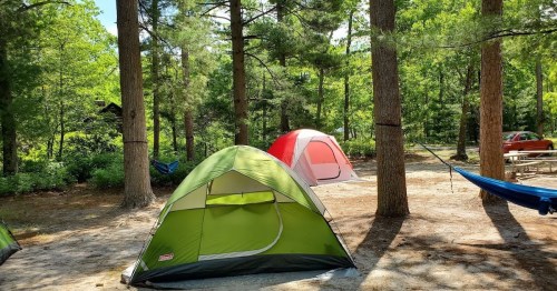 Two tents set up in a wooded campsite, surrounded by trees and a hammock in the background.