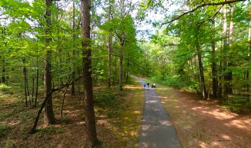 A serene forest path with lush green trees, where a few people walk leisurely along the trail.