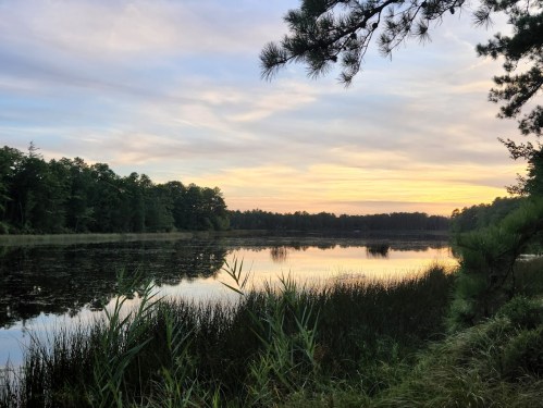 A serene lake at sunset, surrounded by trees and tall grasses, reflecting soft colors in the water.