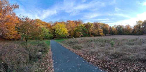 A scenic path through a vibrant autumn landscape with colorful trees and a clear blue sky.