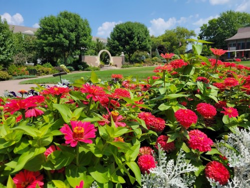 A vibrant garden filled with red flowers and lush greenery under a blue sky, featuring a decorative arch in the background.