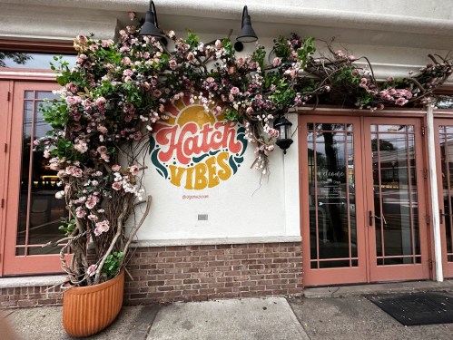 A vibrant entrance with a "Hatch Vibes" mural surrounded by lush floral decorations and pink doors.