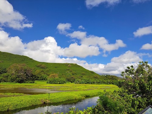Lush green hills under a blue sky with fluffy clouds, reflecting in a serene waterway surrounded by vibrant vegetation.