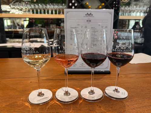 Four wine glasses filled with white, rosé, and red wines on a wooden bar, with a wine menu in the background.