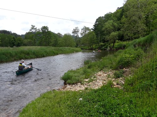 A person paddles a canoe on a calm river surrounded by lush greenery and trees.