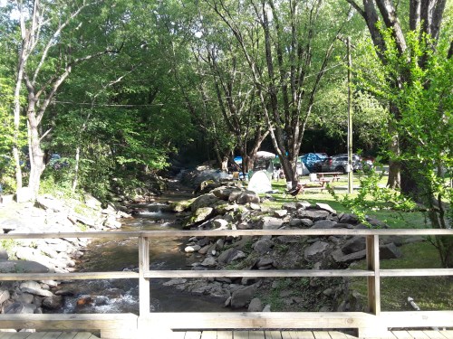 A serene creek flows through a wooded area with tents and picnic spots visible in the background.