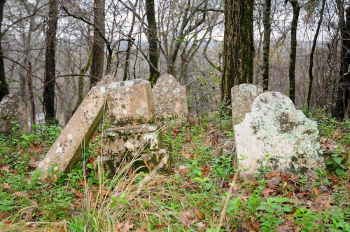 A cluster of weathered gravestones covered in moss, surrounded by trees and overgrown grass in a quiet forest.