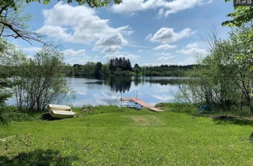 A serene lake view with a wooden dock, surrounded by lush greenery and a clear blue sky with fluffy clouds.