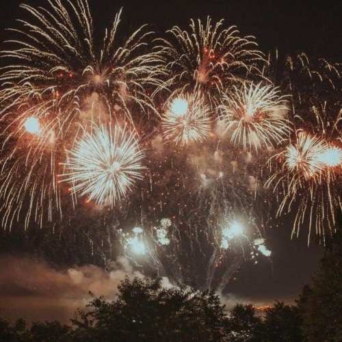 Colorful fireworks burst in the night sky, illuminating the dark with vibrant sparks and patterns above silhouetted trees.