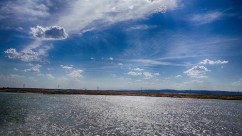 A serene landscape featuring a shimmering body of water under a bright blue sky with scattered clouds.