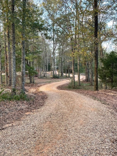 A winding gravel path through a wooded area, surrounded by trees and fallen leaves.