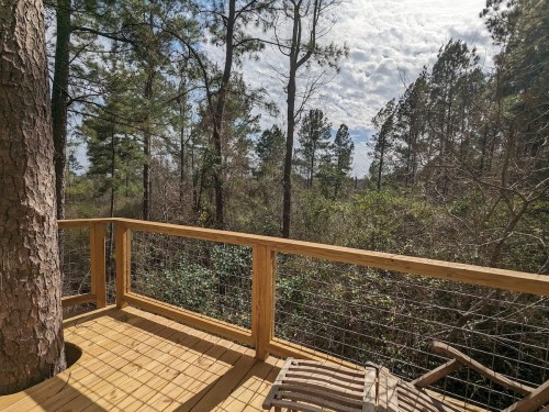 A wooden deck overlooking a dense forest with tall trees and a cloudy sky in the background.