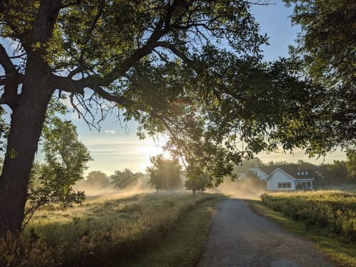 A serene morning scene with a misty path, trees, and a house illuminated by soft sunlight.