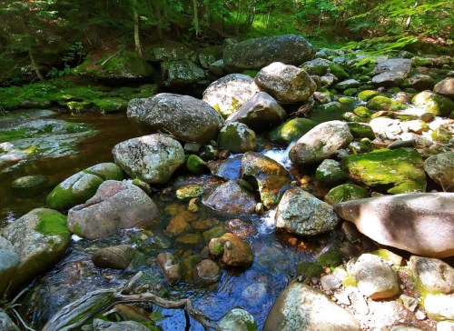 A serene stream flows over moss-covered rocks in a lush, green forest. Sunlight filters through the trees.