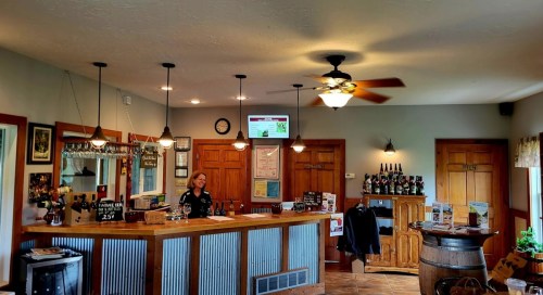 A cozy wine tasting room with a wooden bar, shelves of wine bottles, and a staff member serving customers.