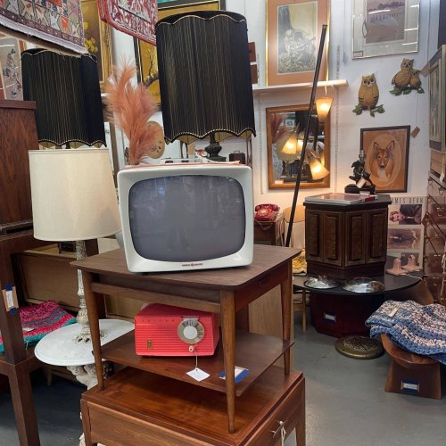 A vintage shop interior featuring retro lamps, an old television, and various antique furniture pieces.