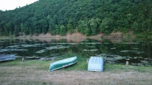 Two boats on a grassy shore beside a calm lake, surrounded by lush green trees and lily pads.