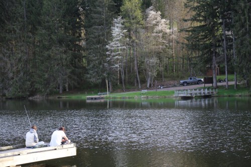 Two people fish from a dock by a calm lake, surrounded by trees and a parked truck in the background.