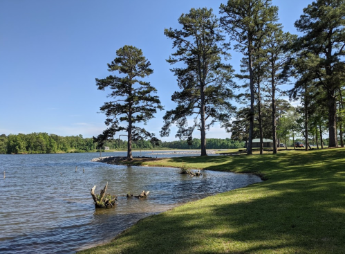 A serene lakeside view with tall trees, a grassy shore, and calm water under a clear blue sky.