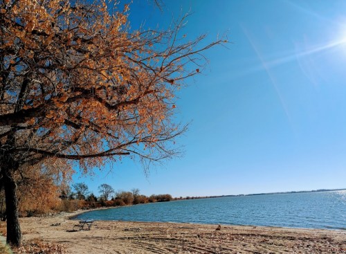 A serene lakeside scene with a tree shedding autumn leaves under a clear blue sky. Sunlight glimmers on the water.