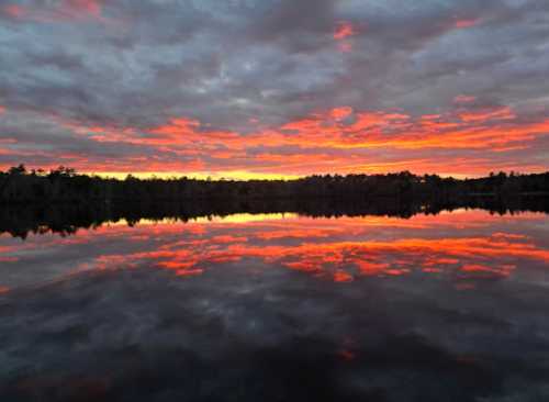 A serene lake at sunset, reflecting vibrant orange and pink hues against a backdrop of cloudy skies.