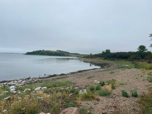 A tranquil shoreline with pebbles and grass, under a cloudy sky, leading to calm water and distant hills.