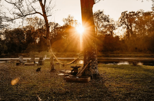 A serene sunset over a river, with a hammock between trees and a cat in a peaceful outdoor setting.