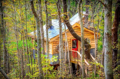 A charming wooden treehouse nestled among tall trees with vibrant autumn foliage.