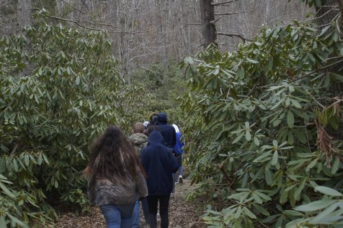A group of people walking along a narrow trail surrounded by dense greenery in a forested area.