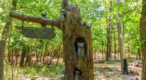 A wooden sign for a nature center, featuring carved raccoons, surrounded by lush green trees and a stream in the background.