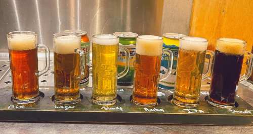 A flight of seven beer samples in glasses, showcasing various colors from amber to dark brown, with cans in the background.