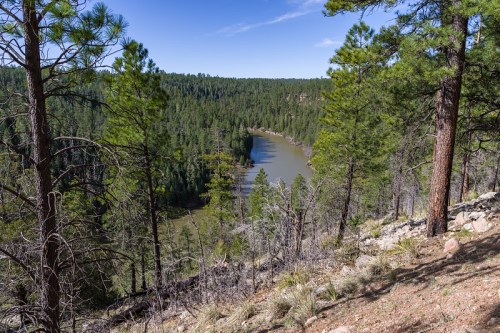 A scenic view of a winding river surrounded by lush green trees and a clear blue sky.