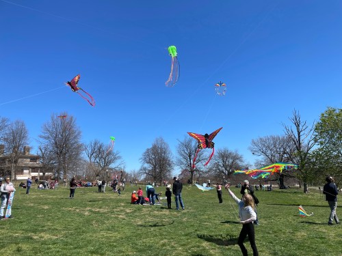 A sunny park scene with people flying colorful kites against a clear blue sky and trees in the background.