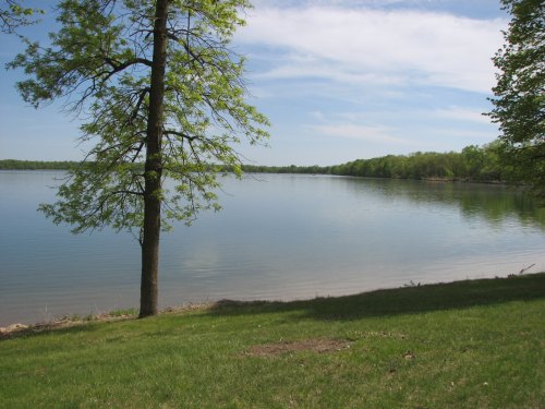 A serene lake surrounded by lush greenery and a tree, under a clear blue sky.