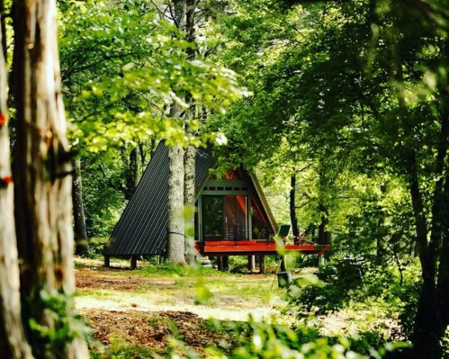 A modern A-frame cabin nestled among lush green trees in a serene forest setting.