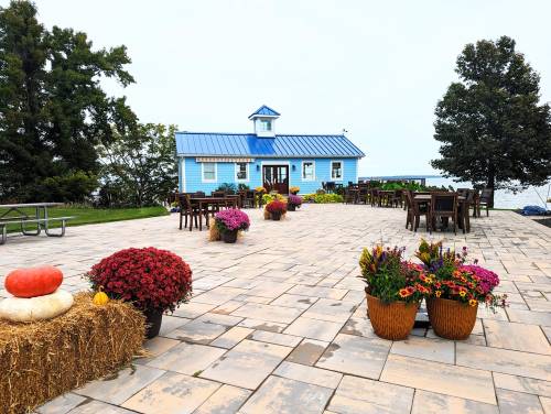 A blue building with a metal roof surrounded by flower pots and outdoor seating on a stone patio by the water.
