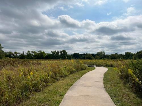 A winding concrete path through a grassy field under a cloudy sky, surrounded by trees and wildflowers.