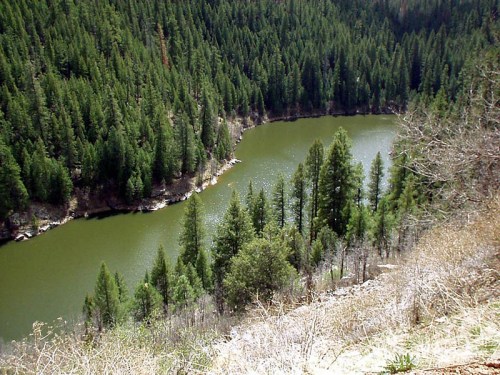 A serene view of a winding river surrounded by lush green pine trees and rocky terrain.